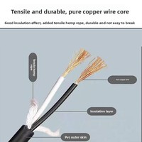 Câble d'alimentation en cuivre pur importé, 2 conducteurs, 2 mm², haute puissance, antigel, pour outils électriques (norme US)