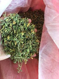 Origen de Vietnam Flores de papaya secas masculinas de la mejor calidad/hierbas de papaya de Vietnam para exportar // + 84 767 550 132 Hani - Product Image 4