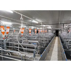 Pig Equipment Farrowing Stall Automatic Feeding Farm Animal Husbandry Equipment Sow Pig Stall/Crate