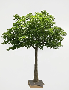 Albero <span class=keywords><strong>di</strong></span> Banyan artificiale melone e castagno al coperto all'aperto centro commerciale Hotel simulazione albero giardino decorazione <span class=keywords><strong>di</strong></span> nozze - Product Image 2