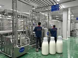 Nuova linea di lavorazione personalizzata multifunzionale per latte, yogurt, latte UHT e latte in polvere, attrezzatura automatica per la produzione lattiero-casearia - Product Image 4