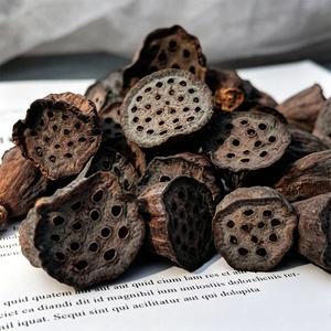 Umweltfreundliche, schlichte Trockenblumen-Samenköpfe für Heim- und Aquariendekoration, natürliche getrocknete Lotusblüten - Product Image 6
