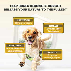 Suplemento en polvo para cadera y articulaciones <span class=keywords><strong>de</strong></span> perros, movilidad, daño lento, reduce el <span class=keywords><strong>dolor</strong></span>, estimula la reparación y reconstrucción <span class=keywords><strong>de</strong></span> problemas <span class=keywords><strong>de</strong></span> cadera y articulaciones - Product Image 3