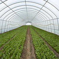 Serres agricoles et tunnels de culture en film plastique pour la culture de tomates à vendre