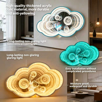 Miroir infini LED Art Déco personnalisé en forme de nuage irrégulier, certifié ROHS, pour la vente en gros, les boutiques de mariage, les magasins de cadeaux et l'usage commercial intérieur