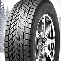 Pneumatici Radiali da 20 Pollici 245/45R20 di Marchio Noto in Gomma per Autovetture con Certificato ECE