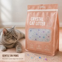 Litière pour chat en cristal testée au pH, légère, facile à nettoyer, résistante aux odeurs, réutilisable, sable transparent pour toilettes pour animaux de compagnie