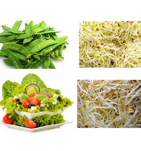 背面密封可定制冷冻蔬菜海鲜袋包装机沙拉包装机 - Product Image 4