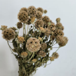 Tela <span class=keywords><strong>de</strong></span> seda artificial <span class=keywords><strong>de</strong></span> tallo único <span class=keywords><strong>de</strong></span> alta calidad, flor <span class=keywords><strong>de</strong></span> <span class=keywords><strong>semilla</strong></span> <span class=keywords><strong>de</strong></span> Scabiosa para boda, para boda - Product Image 3