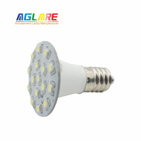 Ampoules LED Cabochon E14/E10 pour Décorations Extérieures 60V/24V Lumières à Point d'Amusement