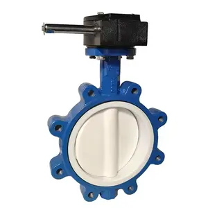 Fully lined fluorine electric cast iron Lug butterfly valve Food pipeline specific