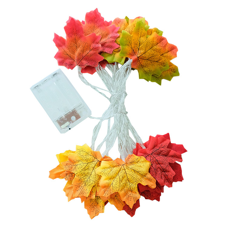 4. érable de 4 couleurs