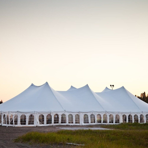 Carpa blanca para bodas al aire libre con 5 paredes laterales extraíbles, carpas para eventos, gazebo impermeable para fiestas en interiores y exteriores - Product Image 1