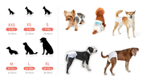 Muestra Gratis de Pañales Ecológicos Desechables y Transpirables a Prueba de Fugas para Perros, Estilo Moderno para Perros y Gatos