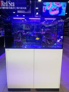 <span class=keywords><strong>ตู้</strong></span><span class=keywords><strong>ปลา</strong></span> RedSea Reefer 170/250/300/350/425 ลิตร สำหรับบ้าน/สำนักงาน พร้อมตู้ฐาน - Product Image 6