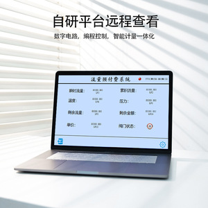 Sistema de Medición de Vapor con Medidor de Flujo Vortex y Conectividad IoT para la Gestión Inteligente de Redes de Calefacción - Product Image 3