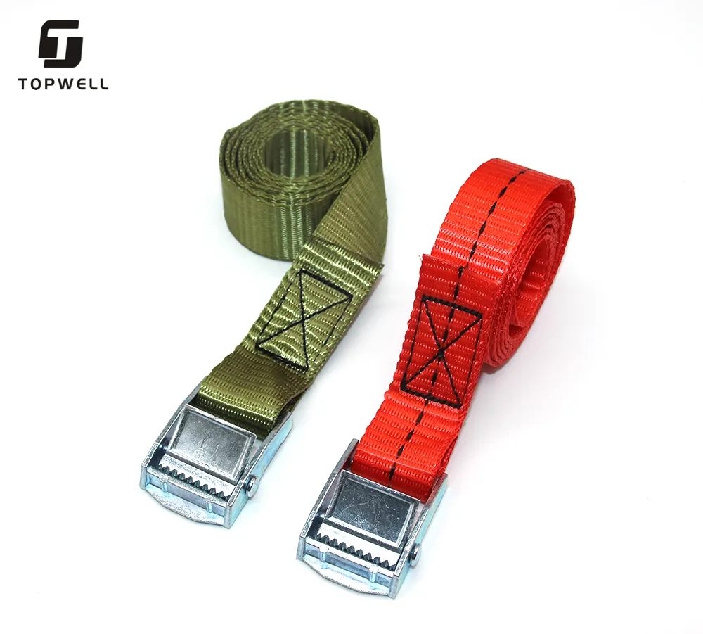 25mm 250kgs Zinc Alloy Small Cargo Metal Cam Lock Belt Buckle Safety Buckle