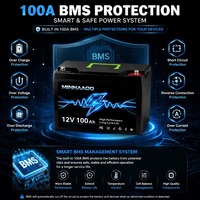 Baterai LiFePO4 100Ah 12V Baterai Lithium Iron Phosphate Siklus Dalam Menggantikan Baterai Asam Timbal untuk Sistem Tenaga Surya Off Grid