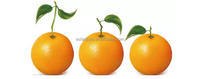 Professionele Citrus Fruit Sorteren Machine/Grapefruit/Pomelo Size Citrus Grading Sorteren Machine.