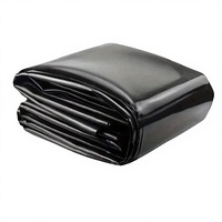 Пленка геомембранная полиэтиленовая HDPE 1-2 мм, антифильтрационная, УФ-стойкая, современная, для ирригационных каналов