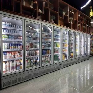 Congélateur vertical pour le marché brésilien, présentoir pour bols d'açaï, fruits tropicaux, plateaux de fromages, pizzas surgelées |   Verre nano antibactérien -25C - Product Image 5