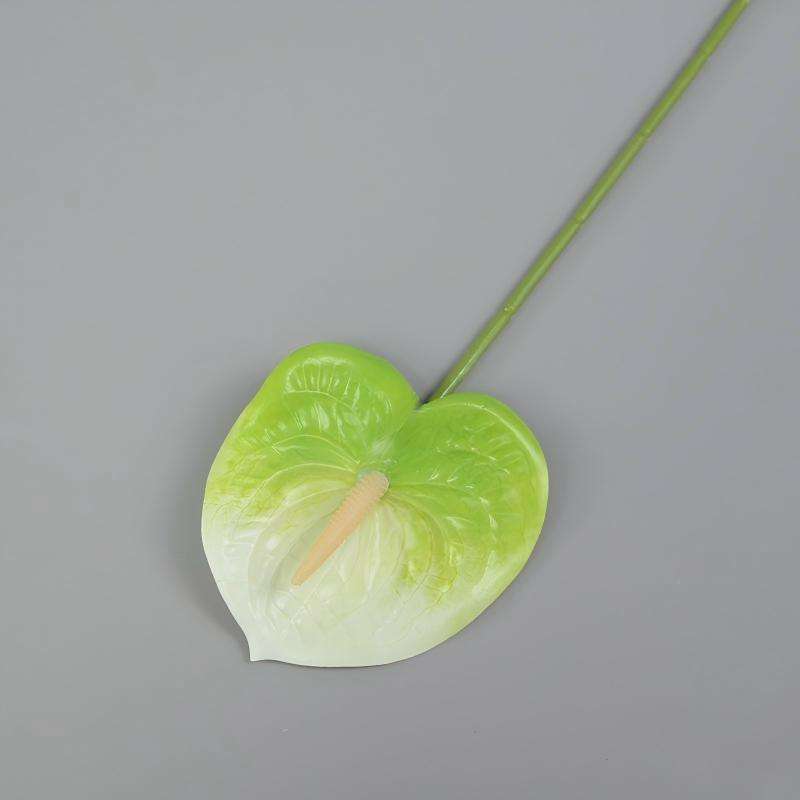 03 ขาวเขียว