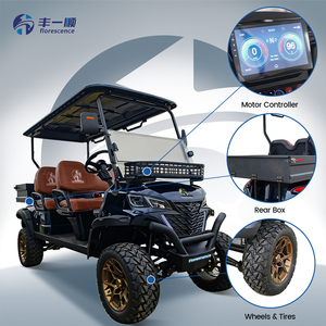 Voiturette <span class=keywords><strong>de</strong></span> golf électrique haute performance certifiée CE pour les terrains <span class=keywords><strong>de</strong></span> golf et le transport communautaire - Product Image 4