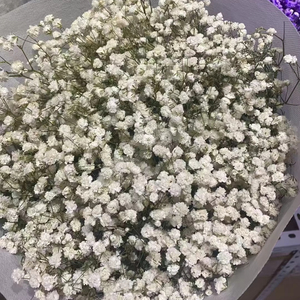 Aliento de bebé preservado versátil de 100-120g al por mayor para decoraciones de boda - Product Image 1
