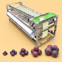 Machine de tri automatique pour oignons, mangostains, avocats, dattes, myrtilles, machine de calibrage automatique pour fruits et légumes, trieuse de tomates