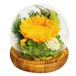 Yeni tasarım toptan el yapımı korunmuş çiçekler bitkiler mutlu anneler günü hediyeleri ayçiçeği bir cam kubbe