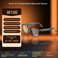 Lunettes Intelligentes W100 avec Traduction IA, Contrôle Tactile, Assistant Vocal, pour Appels, Sport, Bureau, Lecture Musicale – Design Tendance