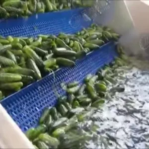 Leadworld High quality bottled vegetable pickled cucumber production line