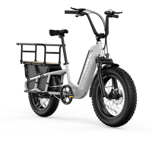 Zerogo K008 potente 500w famiglia elettrica Fat Bike 48v Cargo Ebike con coda lunga e motore posteriore per il trasporto di bambini - Product Image 5