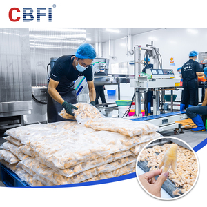 2000 kg/h Iqf 냉동고 Iqf 나선형 냉동고 가격 냉동 튀긴 고기 - Product Image 6