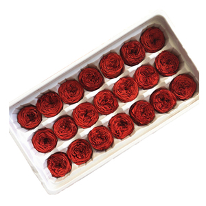 Venta al por Mayor de Nuevos Productos: Cabezas de Rosa <span class=keywords><strong>Austin</strong></span> Secas y Conservadas de Larga Duración para Decoración de Mesa y Hogar - Product Image 4