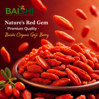 Baies de Goji Ningxia Première Récolte 230 Grains Vente en Gros Direct Usine Jumbo Séchées AD Sans Soufre Biologiques Qualité Supérieure Fournisseurs Santé