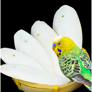 Drop Shipping Cheap Price Natural Bird Parrot Canary Cuttle Bone Chew Toy Cuttle Bone For Birds