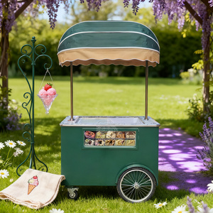 Gelato Showcase Ice Cream Display Case Mobile Outdoor Flower Cart Street Food Car Ice Cream Cart - Product Image 2