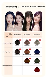 Kit de Tinte para el Cabello a Base de Hierbas, Sin Amoníaco, de Alta Calidad, para Uso en Salón, Larga Duración, Cubre las Canas, Venta al Por Mayor - Product Image 4
