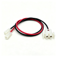 Peralatan Rumah Tangga 18 20 22 24 26 AWG 2 Pin 2.8 4.8 6.3 mm Terminal Spade Transparan Kabel Harness untuk Sambungan Daya