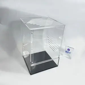 Wholesale Clear Magnetic Square pvc Acrylic Reptile Tarantula Lizard Display Enclosure