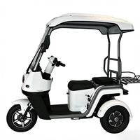 Mini Rickshaw Électrique avec Toit pour Usage Commercial, Scooter à Trois Roues à Double Moteur, Style Tuk Tuk, Tricycle Électrique