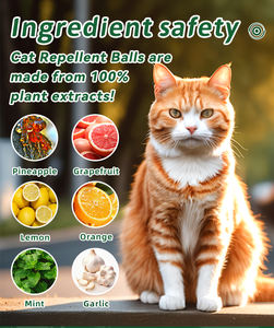 Lot de 12 balles de dissuasion naturelles pour <span class=keywords><strong>chat</strong></span> avec de l'<span class=keywords><strong>huile</strong></span> de menthe poivrée pour empêcher les chats de se gratter et de mâcher. - Product Image 4