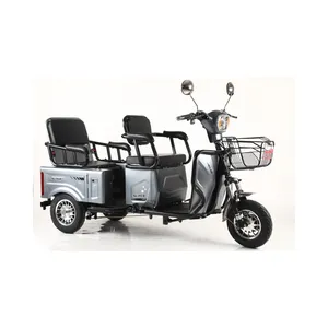 3 Wheel Cargo Electric Tricycle Adult Passenger Car 3 Wheel Foldable Charge Power Mobility Scooter