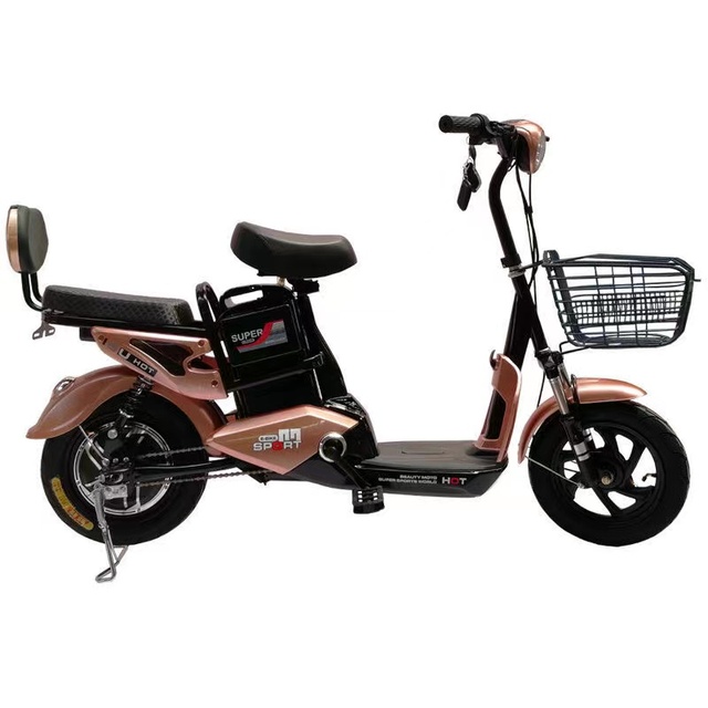48v 12a New Cheap Electric Bike 350w 12000w 15000w Sur Ron Dirt Road Mountain Bicycle
