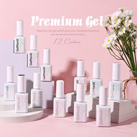 Vernis à ongles en gel premium 15 ml, durcissement LED/UV, non toxique, écologique, végétalien, sans HEMA, fournitures professionnelles, personnalisable, faible MOQ