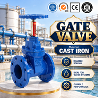 Katup Besi Cor OEM Kustom dengan Indikator Skala untuk Pasokan Air, Katup Gerbang Duduk Tahan Lama dengan Batang Tidak Naik (Non-Rising Stem)
