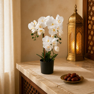 Piante e Fiori Artificiali all'Ingrosso, Piante Decorative Artificiali per Casa e Matrimonio, Bonsai e Orchidee Artificiali - Product Image 3