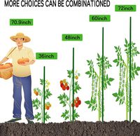 Piquets de jardin en acier et plastique enduit pour plantes, supports robustes pour arbustes/vignes, bâtons de soutien pour tomates et légumes