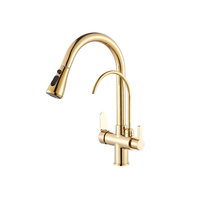Robinet de cuisine contemporain or Pul Out, robinet de cuisine à Double tuyau en laiton à levier unique, robinets d'eau chaude et froide BG1006